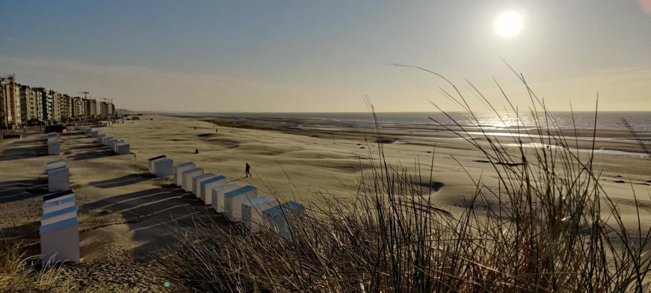 Le Zandkreek Plage & Centre - 2 Ch Koksijde Exteriér fotografie